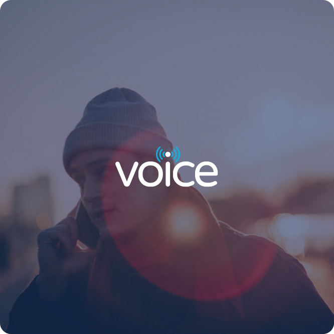 Voice